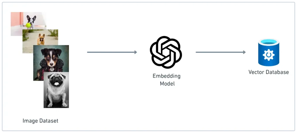 Image Embedding Model